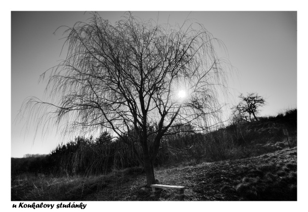 14 - 2014 u Koukalovy  studánky 