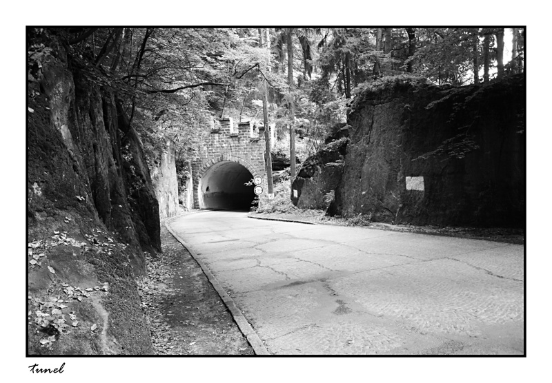 23 - 2011 Tunel  